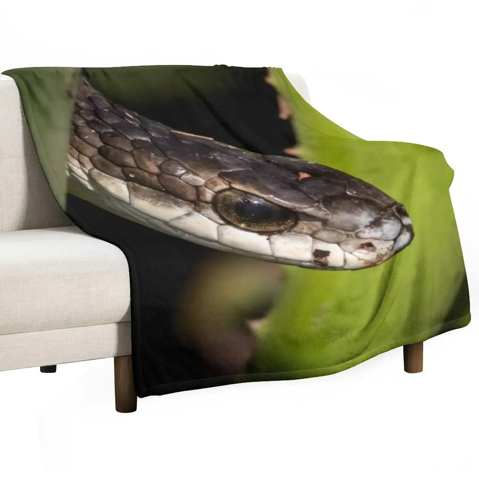 

Boomslang (Dispholidus typus) Throw Blanket manga Baby Blankets