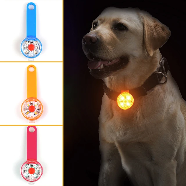 Led Hund Halsband Licht, Licht Hund Halsband Anhänger