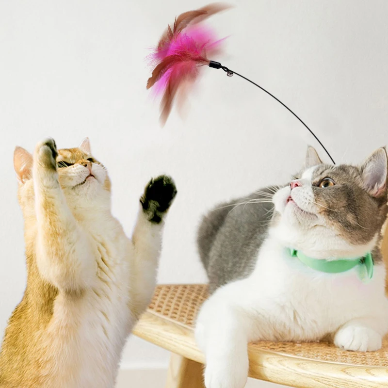 

Interactive Self-Hi Game for Cats, Funny Pet Toys, Feather Teaser Stick with Bell, Kitten Playing, Wand Collar