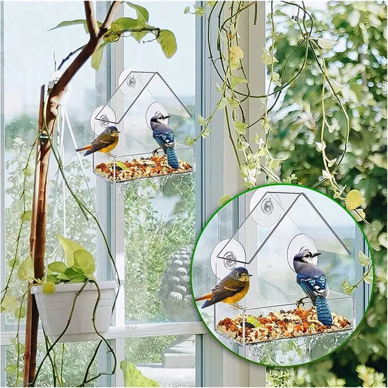 Bird Feeder Organic Glass Alec Bird Feeder Outdoor Adsorption Feeding Anti Splash Food Box Trough Bowl