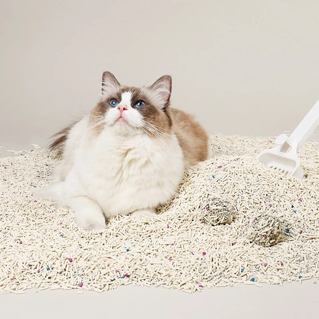 Arena Biodegradable de alta calidad para gatos, Tofu Natural, tienda de  mascotas, suministros de limpieza