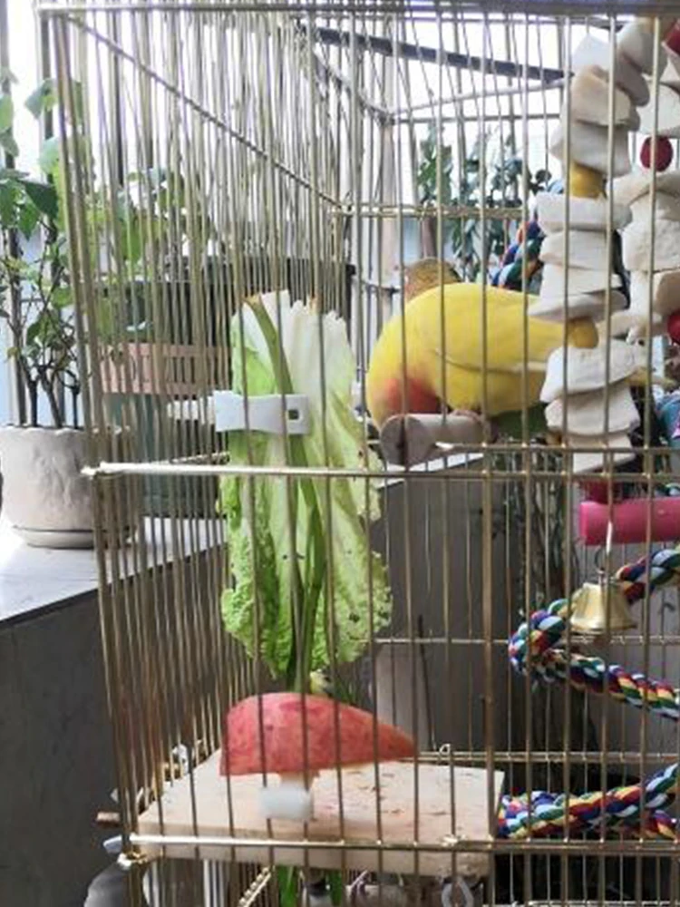 Sevimli Küçük Evcil Hayvan Kuş Gıda Tutucu Papağan Meyve Sebze Klip Kalamar Kemik Besleyici Cihaz Kelepçe Kuş Kafesi Aksesuarları Oiseaux