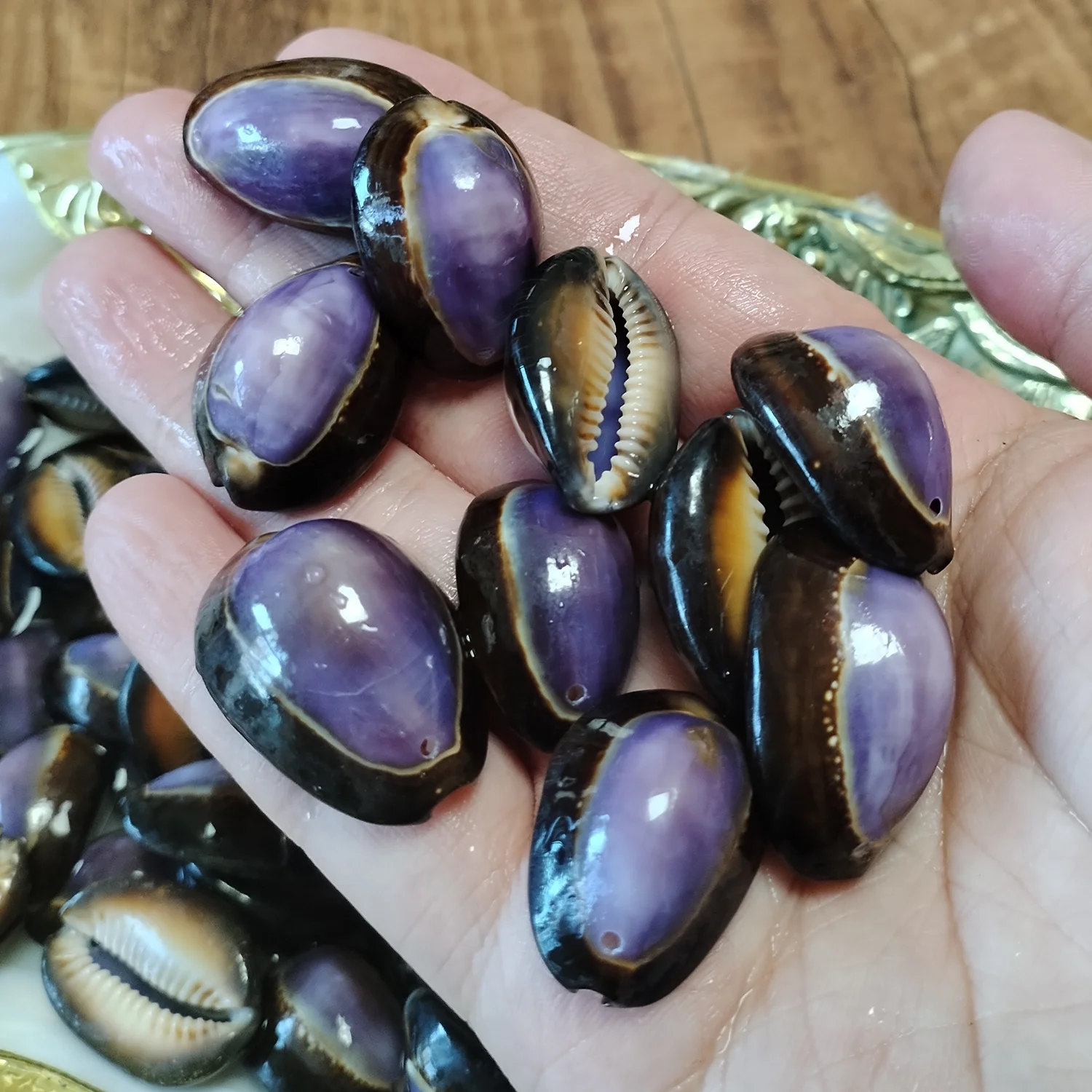 Lot De 500 Coquillages Naturels - Blancs, Marrons, Violets - Pour Loisirs Créatifs