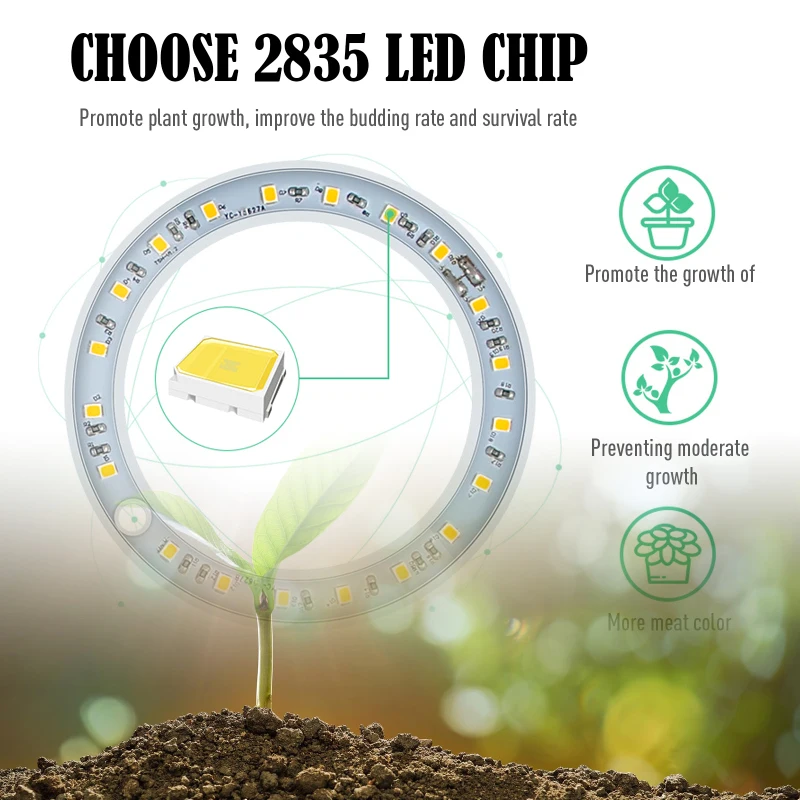 Halo Angel Ring Grow Lights per piccole piante da interno, luce LED per piante a spettro completo, lampade per la crescita delle piante regolabili in altezza_voghion.com