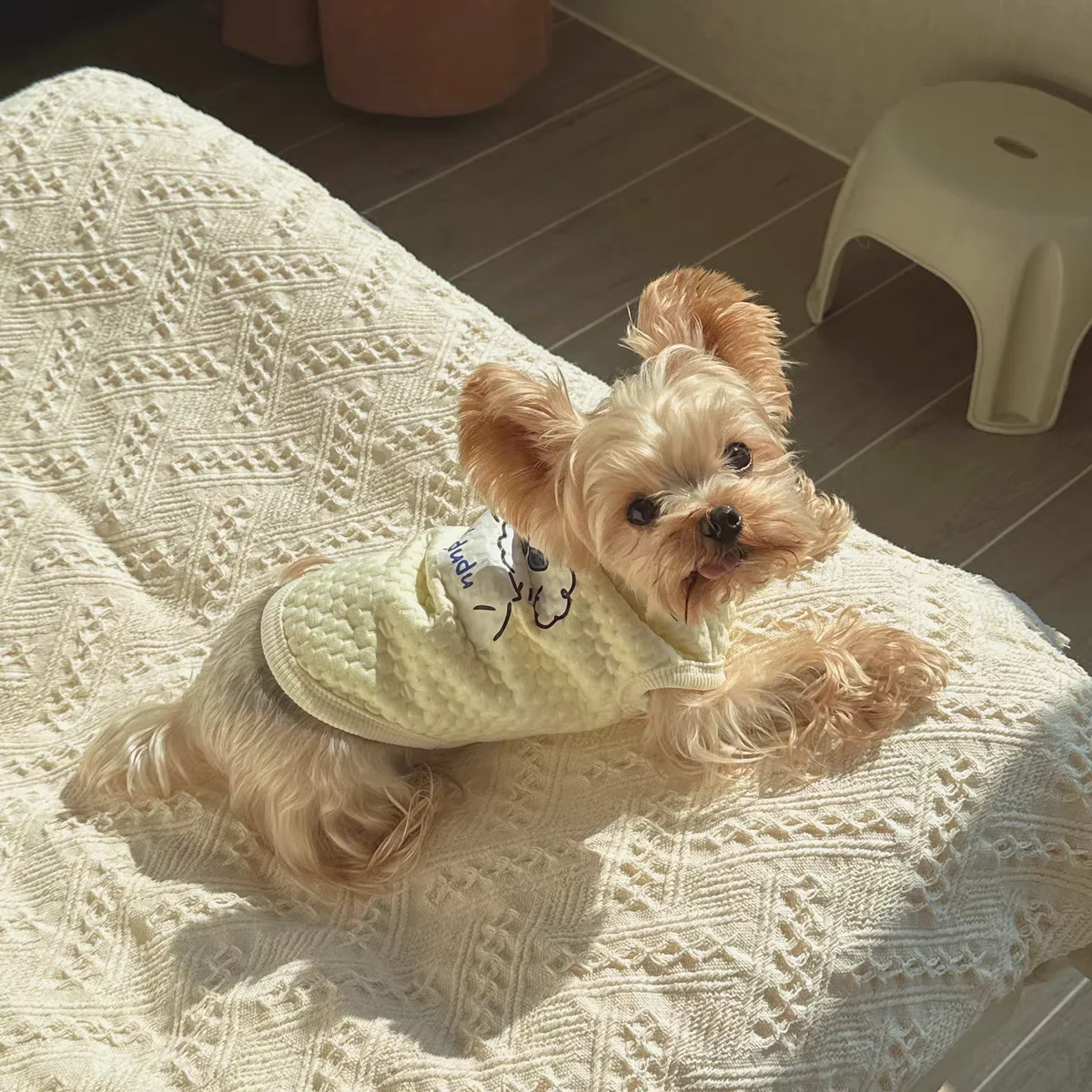 Cardigan Con Bottoni Gilet Per Animali Domestici Warm Fleece Puppy Small Dog Yorkshire Terrier Costume Teddy Chihuahua Cat Clothes Soft Cozy Felpe