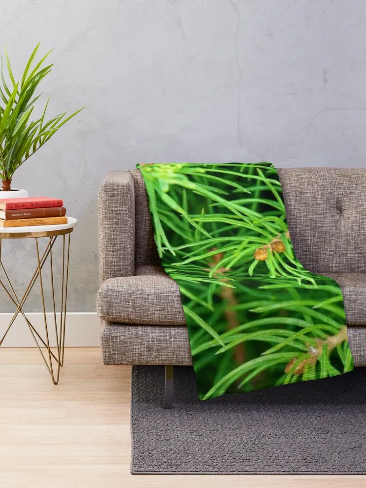 ���Ŀ� ��� ���, ũ�������� ����