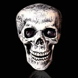 Realistic Skull Halloween Decoration - Indoor/Outdoor Party & Haunted House Decor (1pcs skull head)
