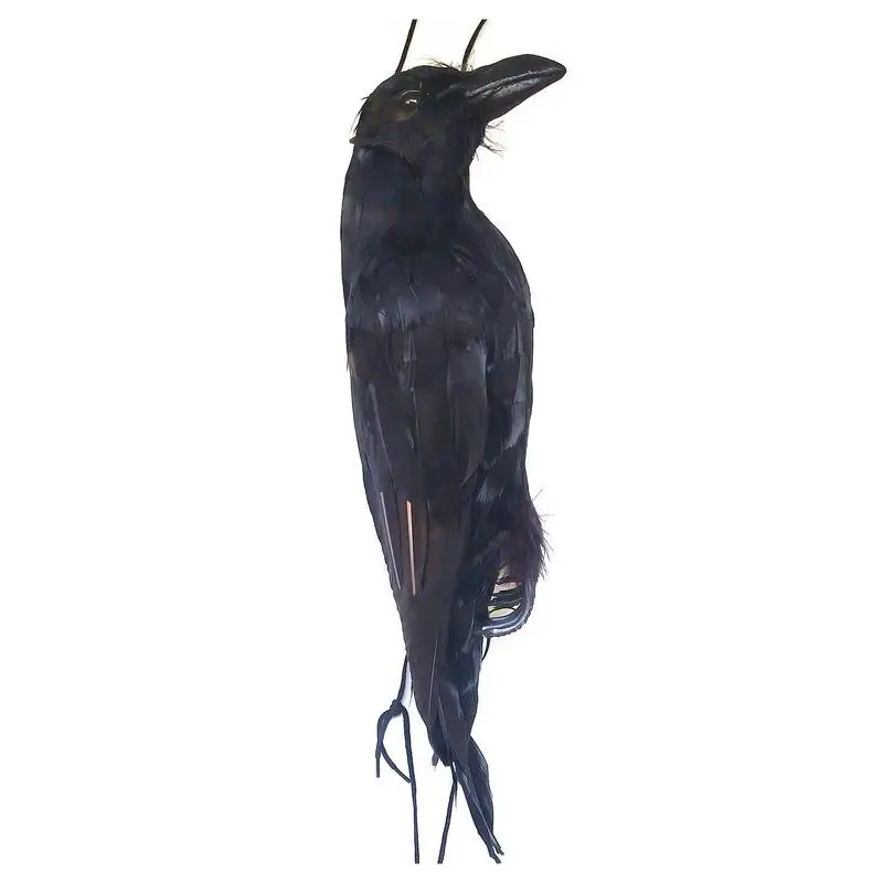 

Simulation Crow Bird Mold Animal Ornaments Realistic Hanging Dead Crow Decoy Props Decoration Crow Prop Simulation Garden Decor