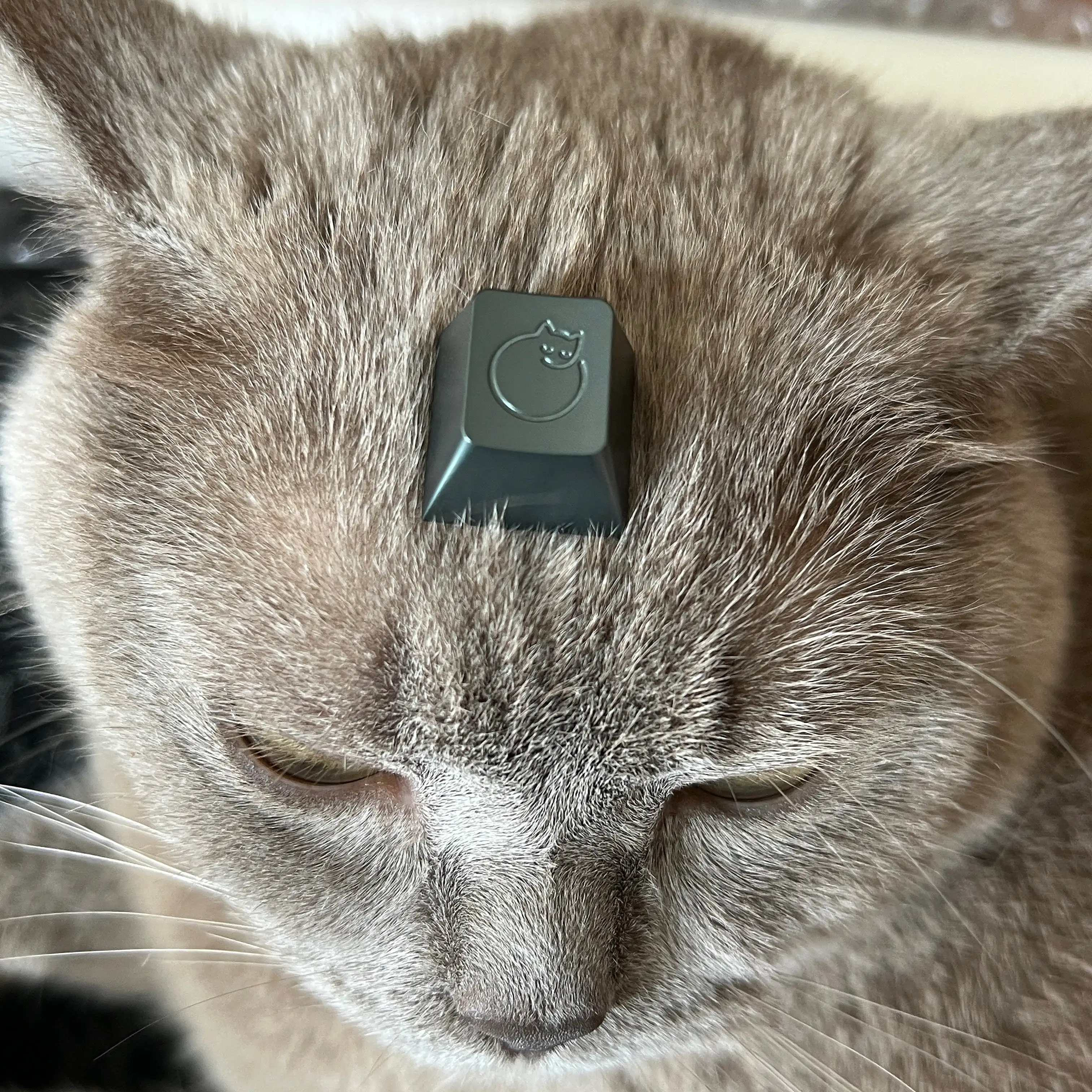 

Sleepy Cat Aluminum Alloy Metal Keycaps CNC Cross Axis Mechanical Keyboard No Backlit Original Profile R4 ESC Key Cap