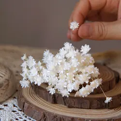 Preserved Little Star Flowers - 100pcs for Wedding and Home Decoration (White)