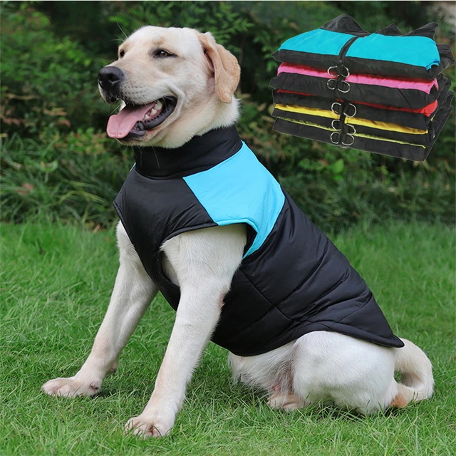 Big Dog Clothing Locations corona.dothome.co.kr