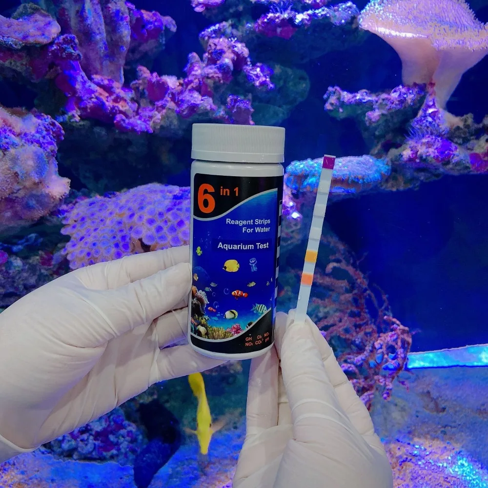 Premium Test Strips 6 in 1 Swimming Pool Aquarium for Total Hardness Total Alkali PH Nitrate Chlorine Nitrite Detector Accessory