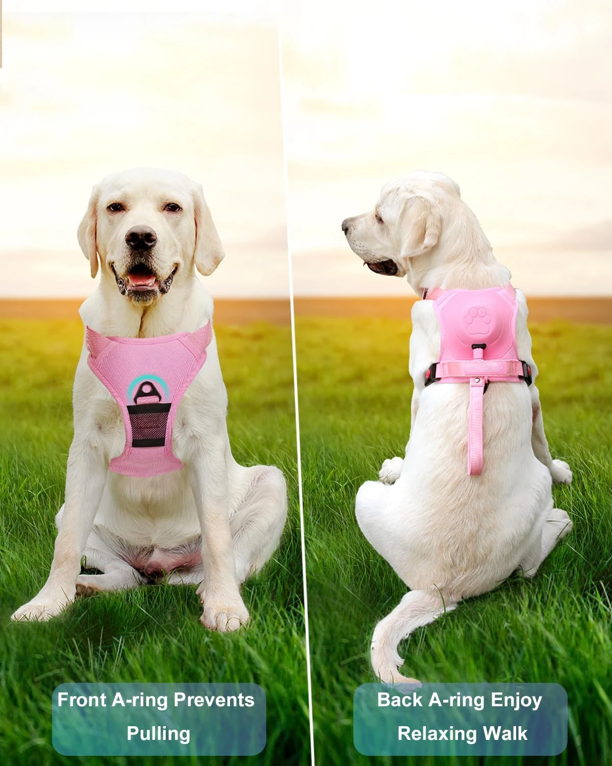 Pet Harness Set ATUBAN Dog Harness Medium Dogs No-Pull Built-in Retractable Leash Heavy Duty Front Clip