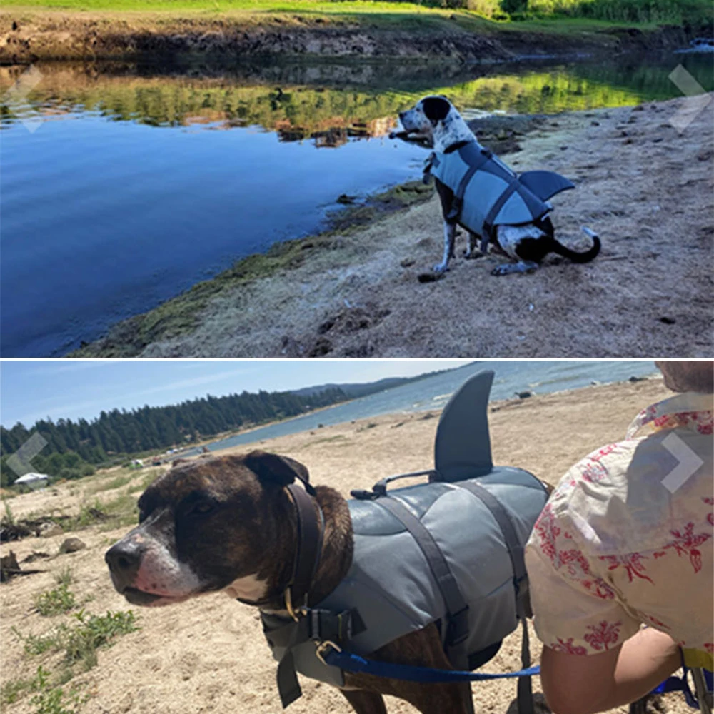 Shark Dog Life Jacket with Handle 3