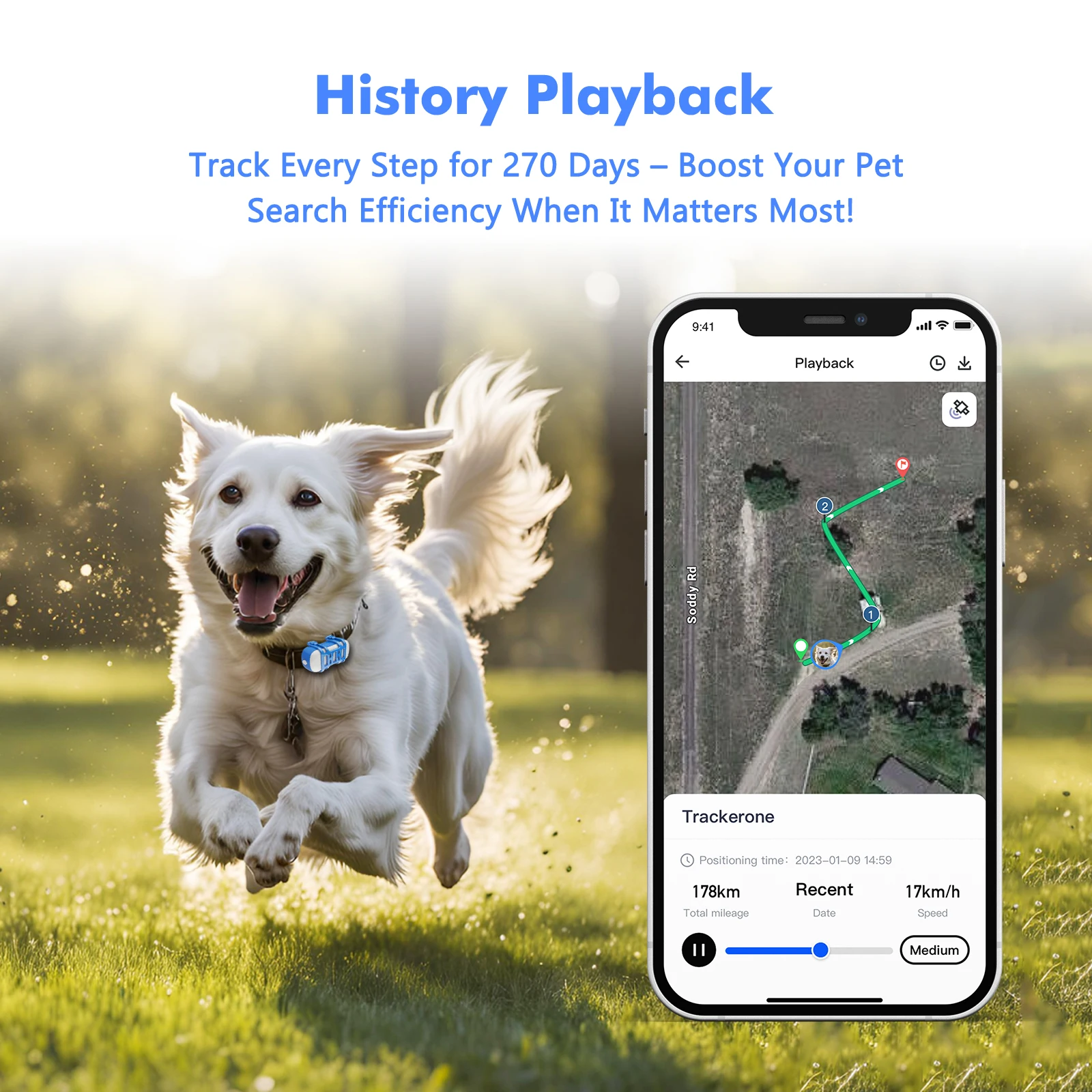 Dog Cat GPS Tracker Unlimited Distance Tracking Waterproof 4G Locator Pet Anti-theft