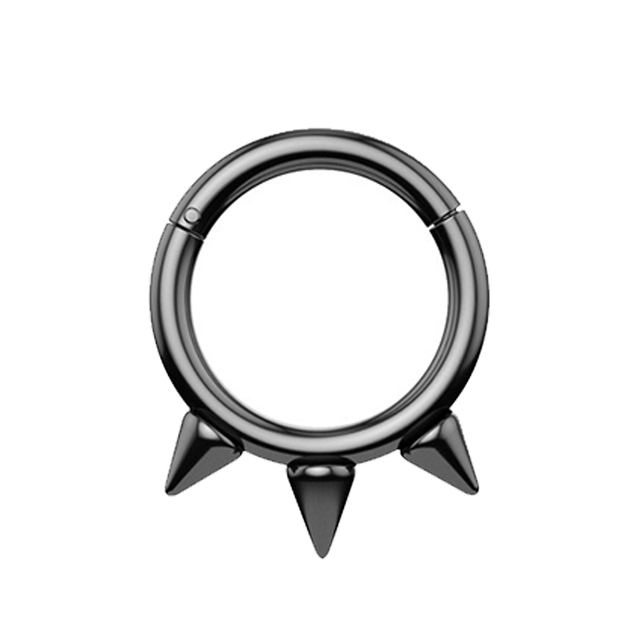 Nose Ring Hoop Septum Piercing Hinged Segment Clicker Surgical Steel Ear Cartilage Earrings Tragus Helix Daith Body Jewelry