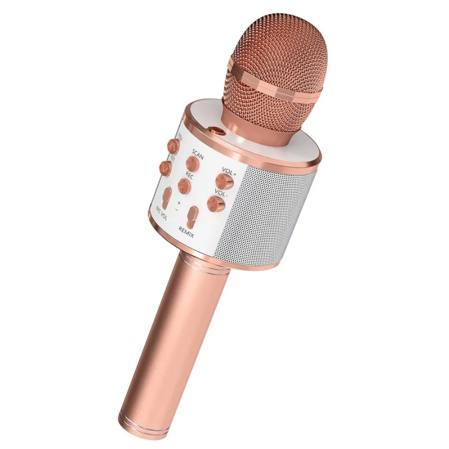 Portable Bluetooth Karaoke Microphone with Speaker