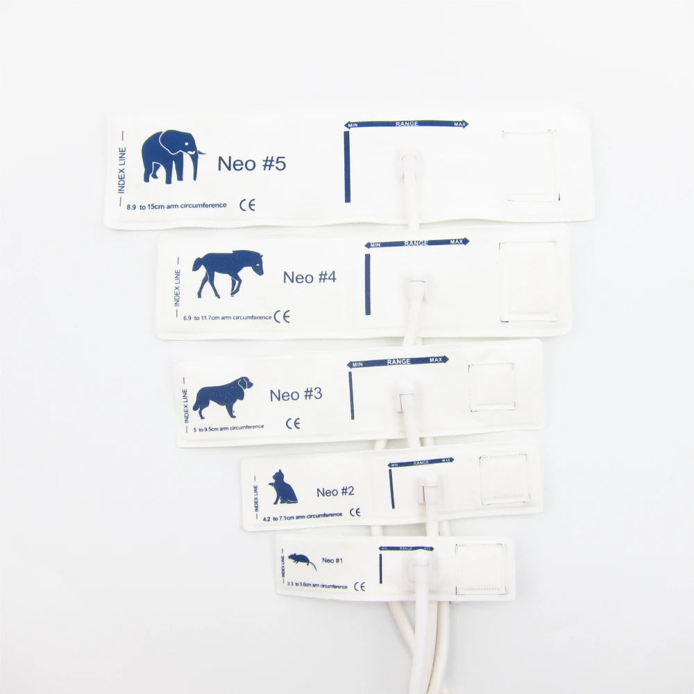 Slide image 22994fcbc2cc4f09b077ccfb1c26fcd2