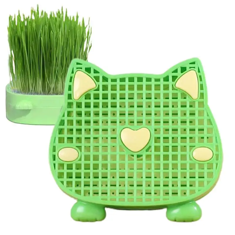 

Cat Grass Planter Tray Layered Kitten Grass Plant Growing Trays Layered Cat Grass Planter To Aid Digestion For Indoor Cats Patio