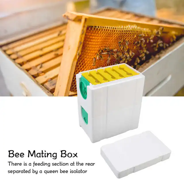 Miód dwuwarstwowa królowa pszczoła hodowla hodowla Box pian…