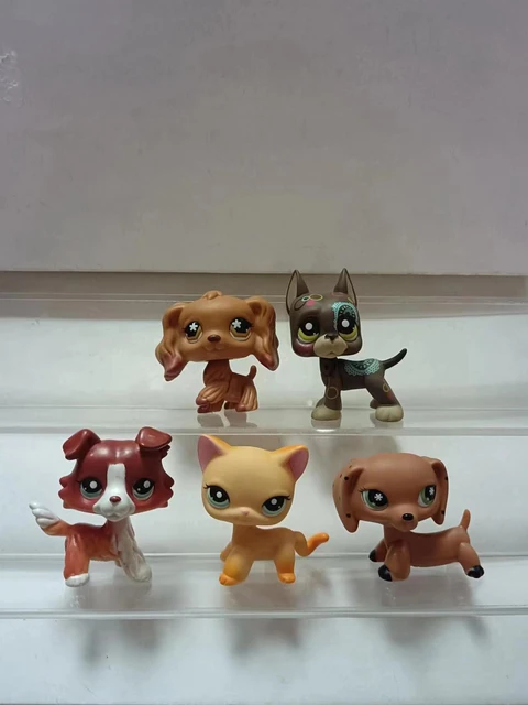 Pet Shop Cats and Collie Dachshund Great Dane Cocker Spaniel Dogs Grab Pack(5pcs  Random Toy) Figure Cute Toy Kids Boy Girls Gift - AliExpress