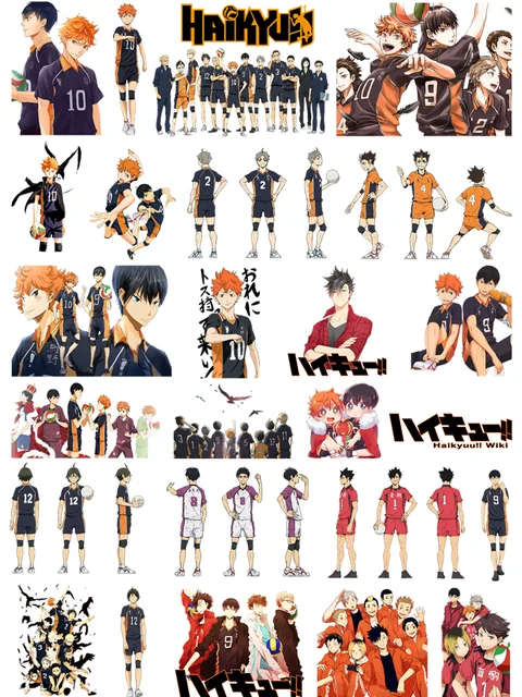 Karasuno High~, Wiki