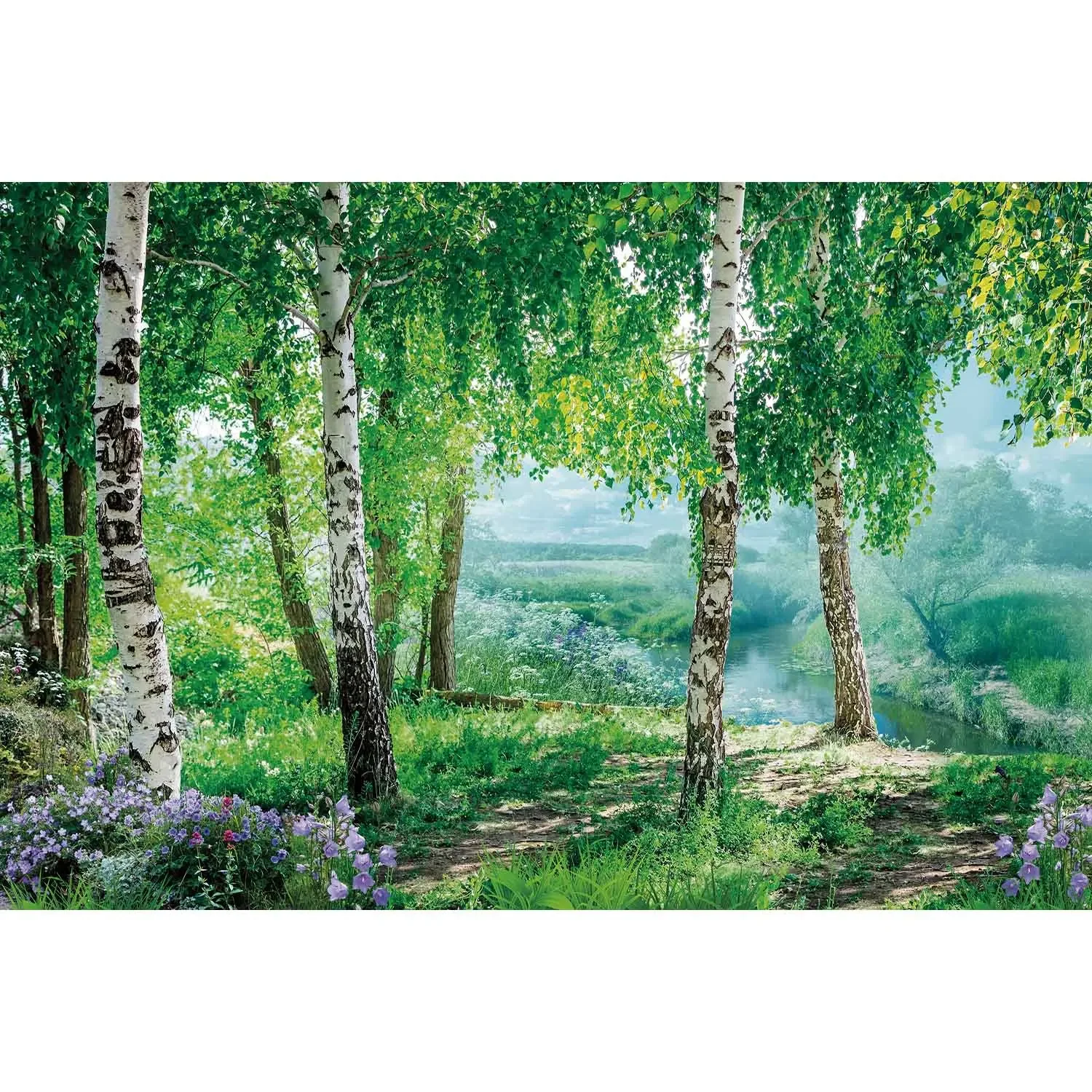 MOON.QG עץ יער ירוק באביב רקע עשב גינה טרופית יער גשם צילום ילדים רקע יומולדת פוטובו