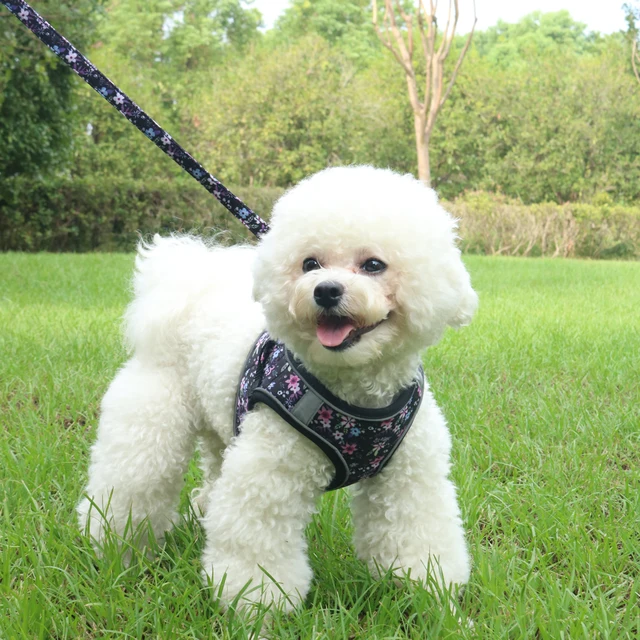 Dogs Adjustable Harness Leash Set for Small Dogs Harness Vest Reflective Puppy Chest Strap Pet Walking Outdoor Puppy Leash 5