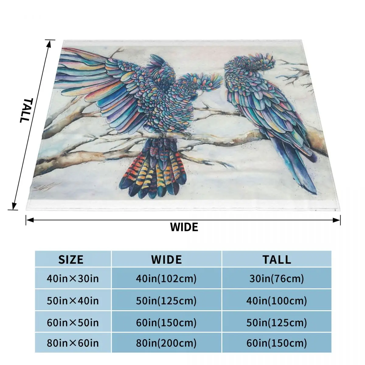 ���� ��ī�� �� �� ������ ��� ħ�뺸, �Ž� ħ�� ��