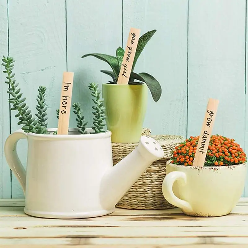 

Plant Markers Waterproof Wooden Flower Signs Flower & Plant Labeling Garden Stakes 50 PCS Outdoor Waterproof Plant Tags With A