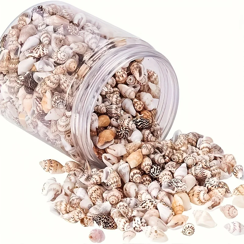 

800pcs/bottle Natural Seashells/conch Beads, Used For DIY Jewelry Making, Home Decoration, Resin Liquid Mold Filling