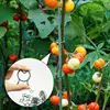 100/200pcs Plant Clips, 3 Size Clips For Attaching Plants, Garden Clips, Plant Support Clips, Climbing Plant Clips, Plant Clips 3