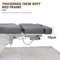 Table de massage électrique professionnelle pour cils, lit de beauté, lit de soin médical, lit de spa pour le visage, lit de beauté pour salon de beauté 6