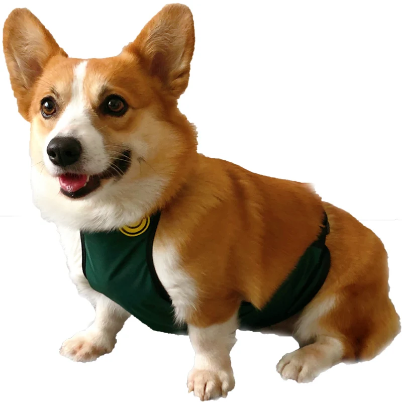 따뜻하고 방수되는 강아지 우비, 배 보호 기능이 있는 가디건 스타일 애완동물 옷, 코기 강아지 가을 겨울용