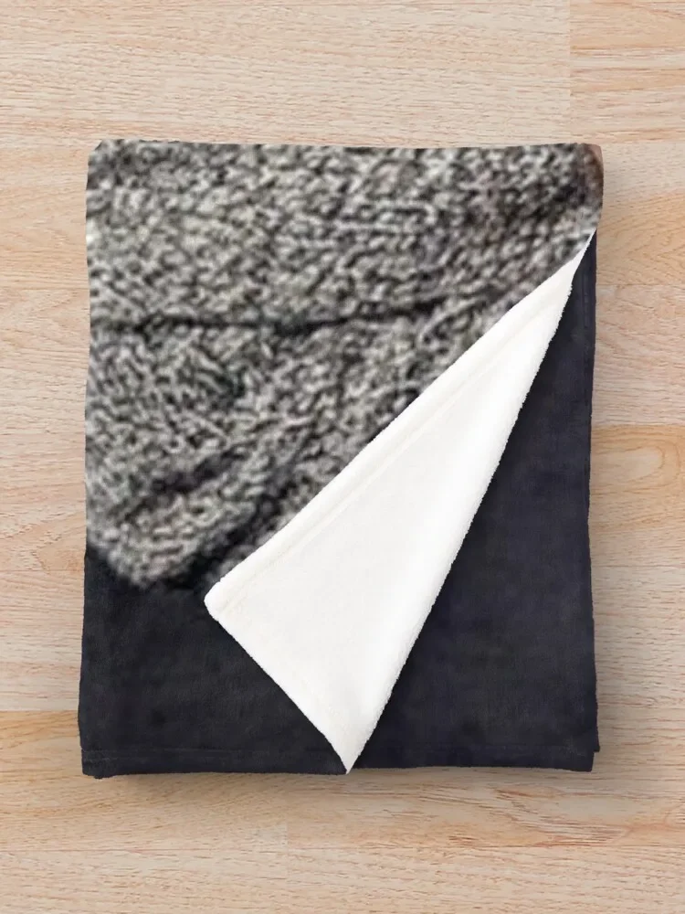 �� ��� ������ ���, ��Ƽ�� �ö���, �Ϳ��� ���� ���� ���