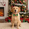 Pet Christmas Bow Tie Dog Collar with Bowknot Stylish Holiday Pet Accessory for Dogs Perfect for Christmas and Special Occasions 4