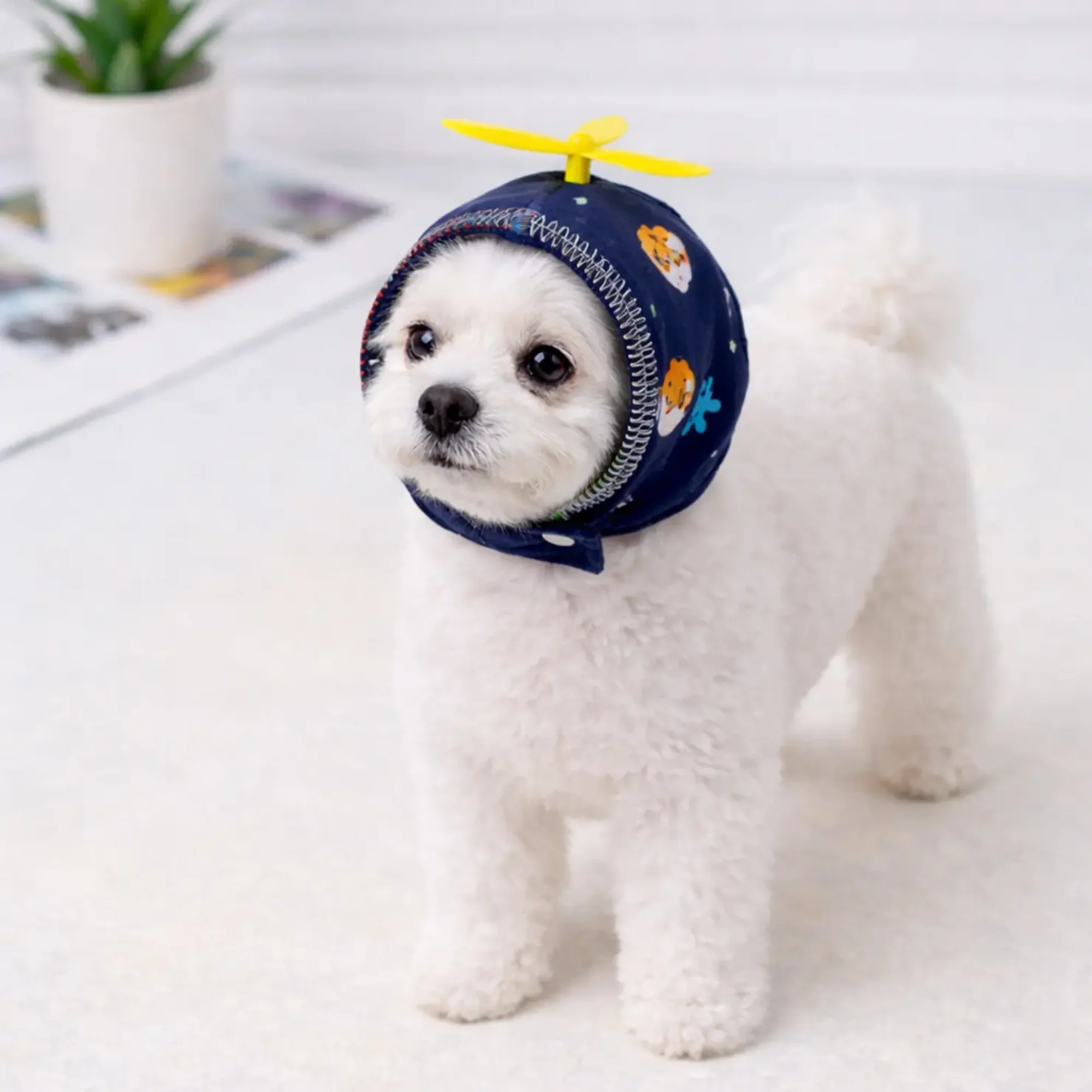 강아지 머리덮개 중소형견 야외용 파일럿 모자 애완견 귀마개 봄 가을 보온성 좋고 착용하기 쉬움