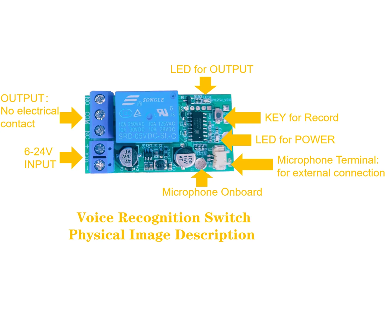 Multilingual Voice-Activated Switch for Custom Command Control