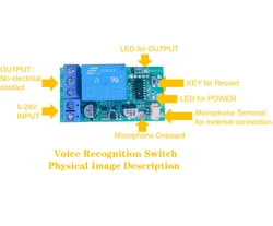Multilingual Voice - Activated Switch for Custom Command Control (1pcs  V816)