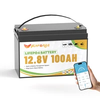Allemagne Stock FLLYROWER 12.8v 100Ah Bluetooth 120Ah 180Ah 300Ah LiFePO4 batterie solaire Lithium Lifepo4 batterie 3