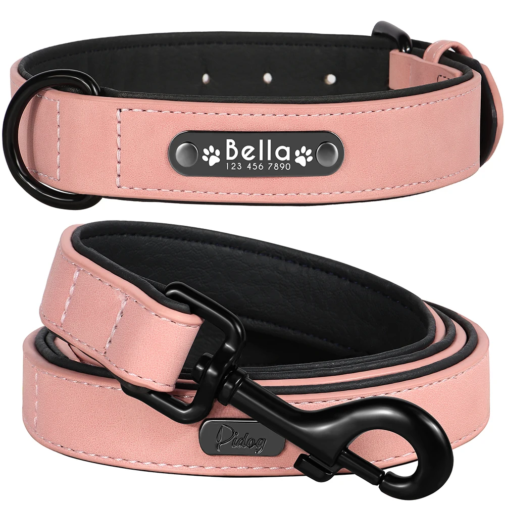 dog collar choker and leash set