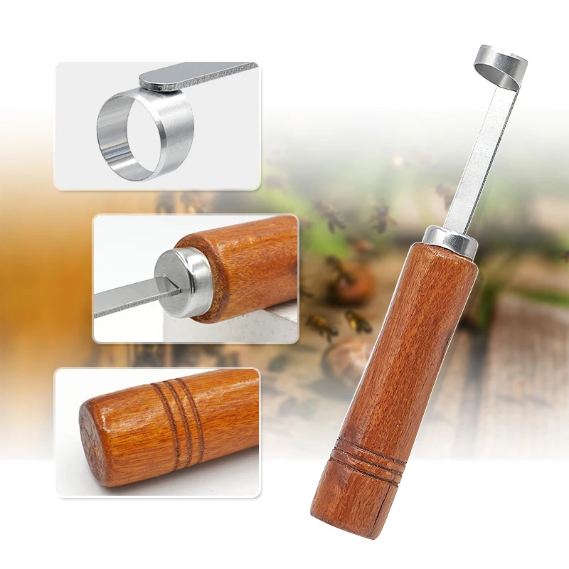1Pc Beekeeping Device Beehive Cleaning Scraper Functional Honey Remover Beekeepers Supplies for Beekeeper Garden Equipment