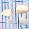 5pcs Durable PP Material Bird Cage Fruit Forks, Parrot Feeding Accessories, Pet Supplies Snack Holder for Birds 1