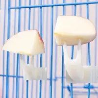5pcs Durable PP Material Bird Cage Fruit Forks, Parrot Feeding Accessories, Pet Supplies Snack Holder for Birds 1