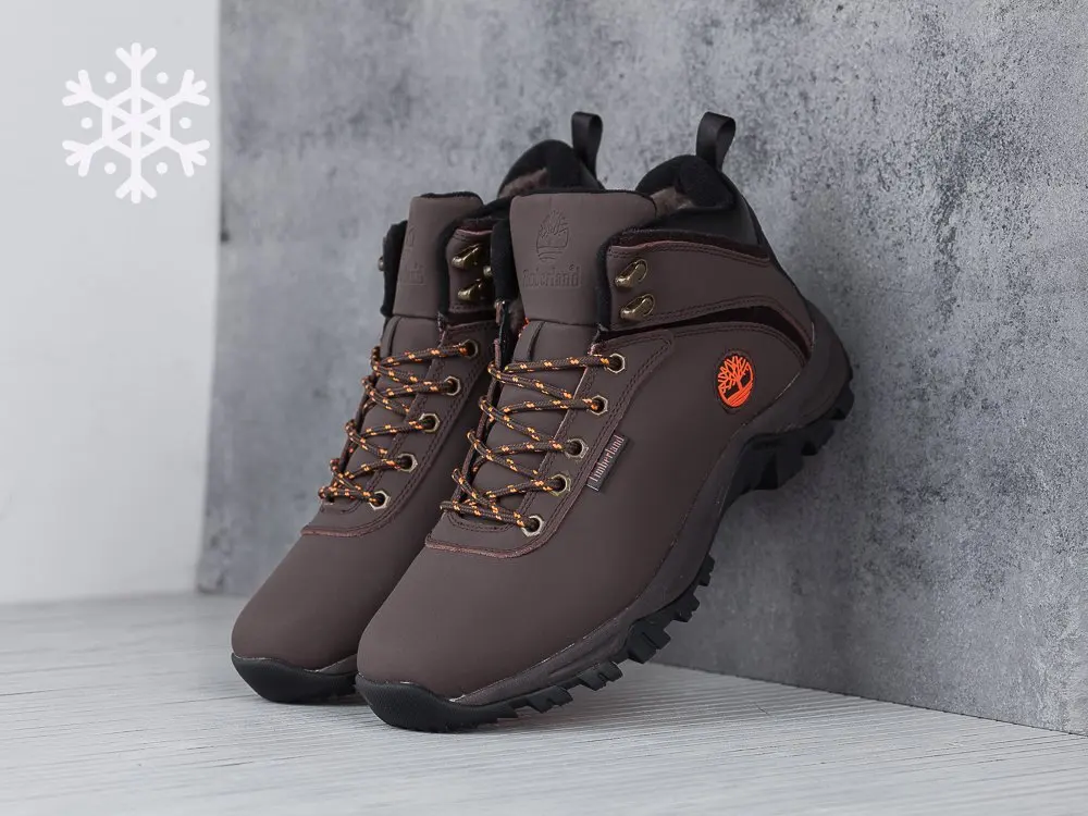 Ботинки Timberland Коричневый Зима Мужской | Обувь