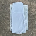 Rhinoceros grey