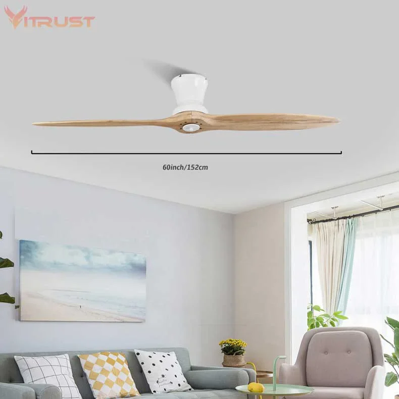 Two-Blade Indoor Ceiling Fan Dimmable with LED Light Kit For home use 60 inch Ceiling fan, led ceiling fan lights