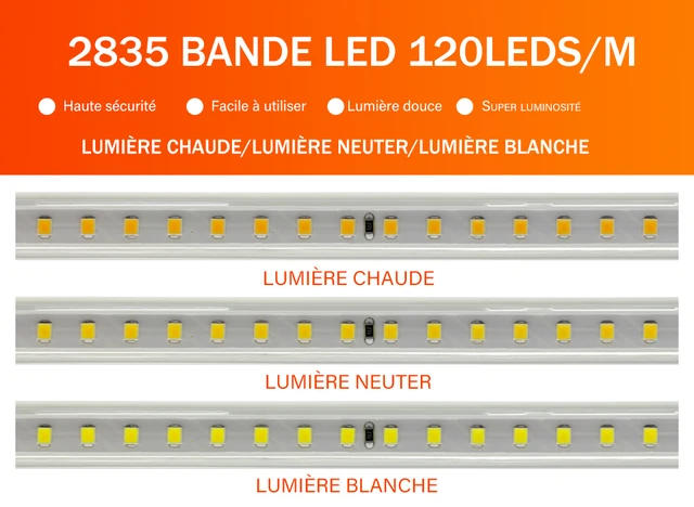 Bande Lumineuse LED Étanche 220V, Haute Luminosité 120LED S/m, Pour La  Décoration De La Maison, Cuisine, Jardin Extérieur, Lumière LED Avec  Interrupte