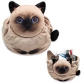 Siamese cat