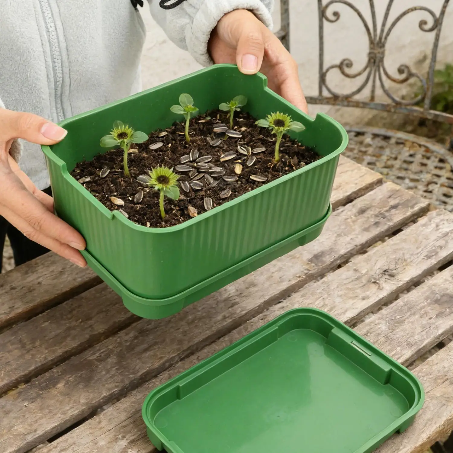 Enhanced Germination Seedling Tray for Soilless Hydroponic Plant Nursery